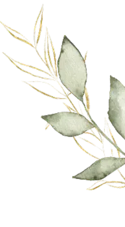 Leaf - Postnatal Massage Singapore